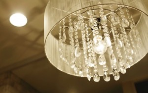 シュガートップのギャラリー13